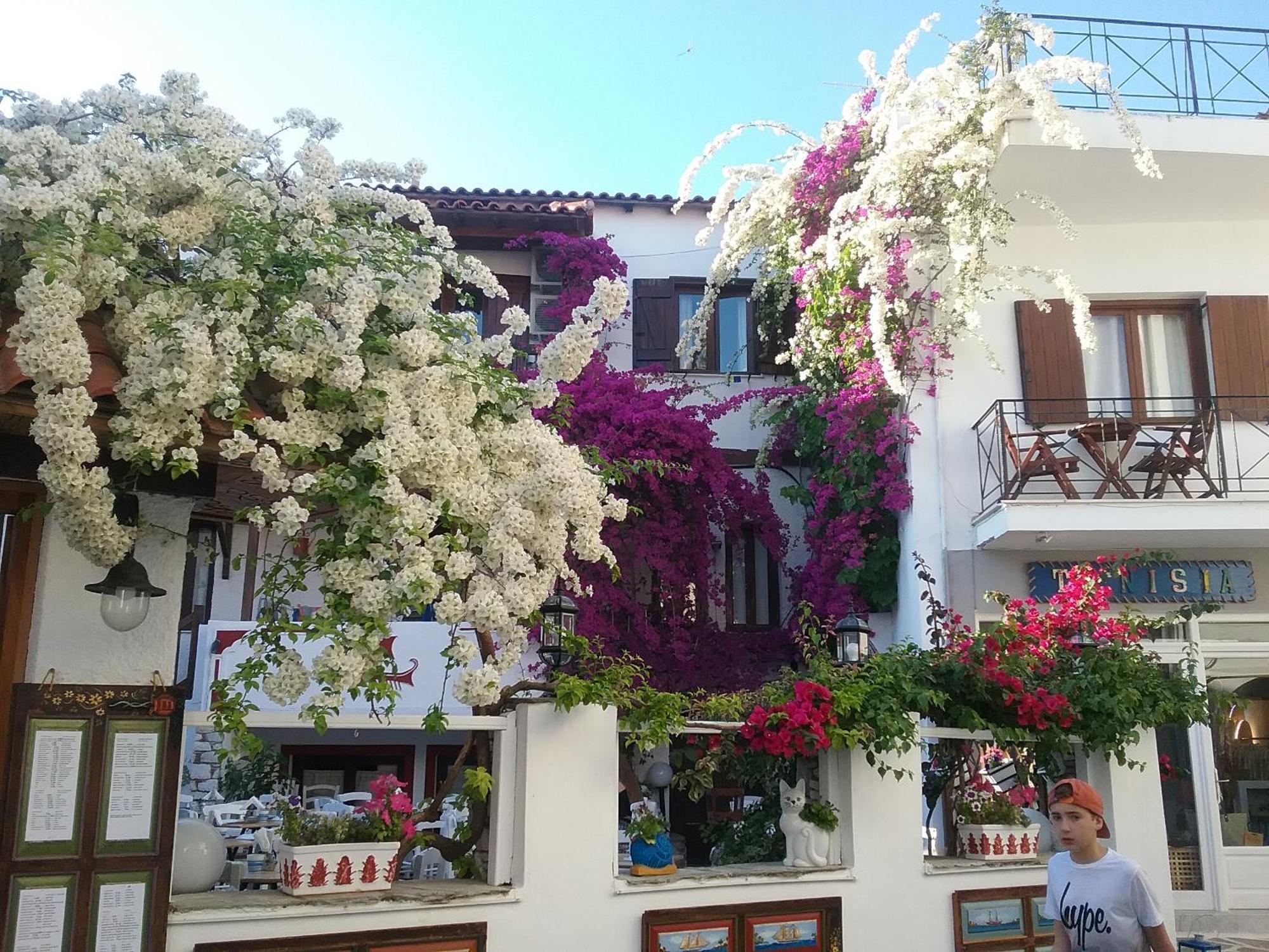 Mouria Hotel Skiathos Town Exterior photo